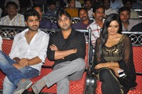 Nuvva Nena Audio Launch